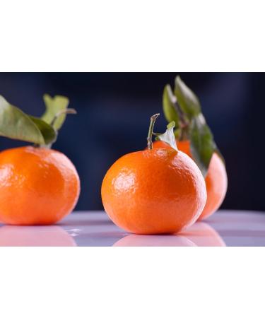 PurePlant Essentials 100% Pure 8th Chakra Oil Cosmic Love Organic and Wild Crafted Essential Oils Blend - 7.5 ml (1/4 oz) - Buy Online on GoSupps.com