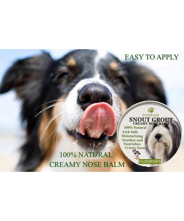 100% Natural Dog Nose and Paw Balm - A Soothing Nose Balm for Dogs to Heal Dry Crusty and Chapped Noses and Paw balm for Dry and Cracked Paws - Easy to apply Dog Nose and Paw Cream - Buy Online on GoSupps.com
