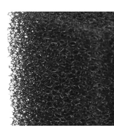 Pack of 12 Stipple Sponge Block for Halloween Makeup | Special Effects Sponge for Stubble Bruise & Bleeding Effects - Buy Online on GoSupps.com