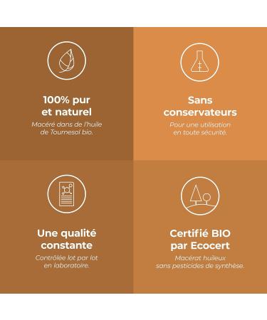 Arnica BIO (Arnica montana) - 50 mL - Mac rat Huileux Certifi Cosmos - Aroma Labs - Made in France 50 ml (Lot de 1) - Buy Online on GoSupps.com