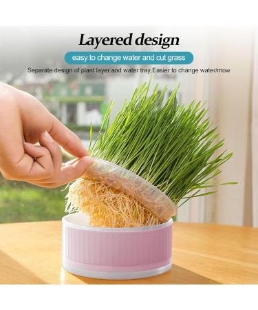 Lambo Cat Grass Planters | Hydroponic Plant Boxes for Cats & Pets | Removable Earth-Free Mint Planters - Buy Online on GoSupps.com