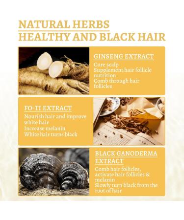 Lambo Darkening Oil for Gray Hair - 30ml Natural Nourishing Repair Nutrient for White Hair - Oil Control Hair Strengthening for Gray Hair Men Women - Buy Online on GoSupps.com