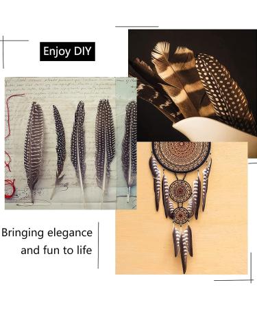 30Pcs Natural Turkey Spotted Feathers for DIY Crafts and Decor - 6-8 inch (3 Styles) - Buy Online on GoSupps.com