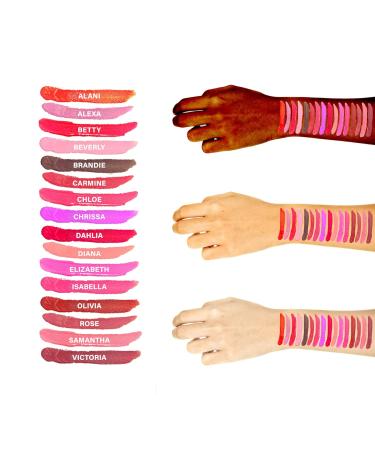 Matte Liquid Lipstick - Long-Lasting Non-Transfer Kiss Proof Makeup - Cruelty-Free & Paraben-Free Hydrating Lip Gloss Made in USA | Shop Now - Buy Online on GoSupps.com