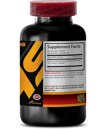 Hoodia Gordonii 2000mg Night Time Appetite Suppressant - Metabolism Booster - Natural Formula - 60 Tablets - Buy Online on GoSupps.com
