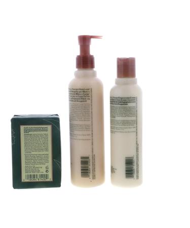 Aveda Rosemary Mint Holiday Gift Set | Limited Edition International Shipping - Buy Online on GoSupps.com