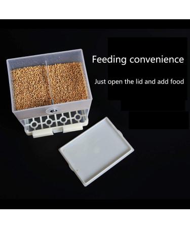 Rypet No Mess Bird Feeder - Integrated Automatic Parrot Feeder for Small to Medium Birds - Buy Online on GoSupps.com