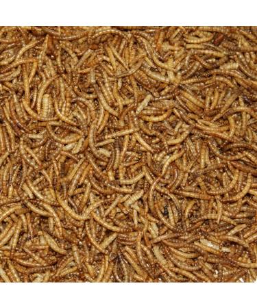 Buy Paul's Mill Dried Mealworms - Premium Quality 2 x 5kg (10kg Total) for Pets & Wildlife - International Shipping Available - Buy Online on GoSupps.com