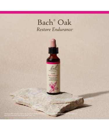 Bach Original Flower Remedies Oak - Restore Endurance - Natural Homeopathic Flower Essence for Emotional Balance - Vegan Gluten Free Sugar Free - 20mL Dropper - Buy Online on GoSupps.com