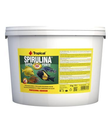 Super SPIRULINA Forte 36% 11L / 2kg - for Fish with Very Demanding Nutritional Needs, Flakes