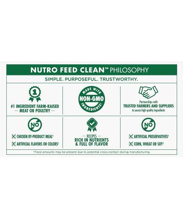 NUTRO Adult High Protein Grain-Free Wet Dog Food Variety Pack - Beef, Lamb, Chicken, Turkey - 36 Pack x 3.5oz - Buy Online on GoSupps.com