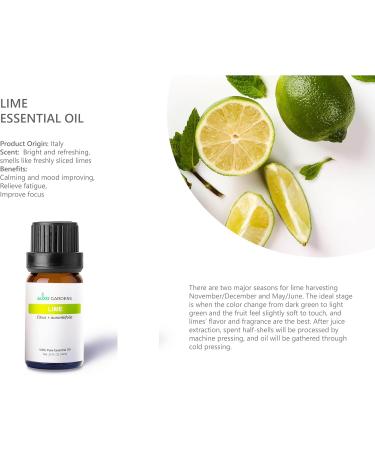 Citrus Essential Oil Set - Pack of 6 Pure Therapeutic Grade 10ml Oils | Lemon Grapefruit Sweet Orange Lime Bergamot & Petitgrain - Buy Online on GoSupps.com