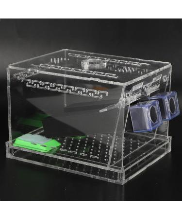 Cricket Pen Acrylic Cricket Feeding Box with Feces Layer Keep Cricket Feeding Neat and Tidy Convenient for Cricket and Pet(L) - Buy Online on GoSupps.com