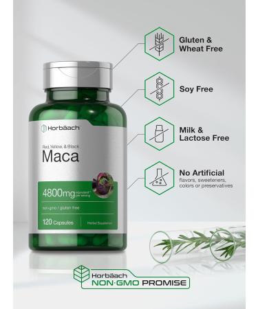 Horb ach Maca Root Capsules 4800mg - High Potency Extract for Men and Women - Non-GMO, Gluten Free - 120 Capsules - Buy Online on GoSupps.com