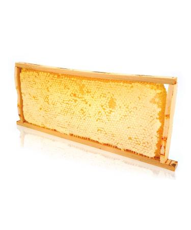 The ImkerPur® honeycomb with acacia honey, 2.2 kg, in a traditional wooden frame, enhances any buffet, not only in restaurants or hotels