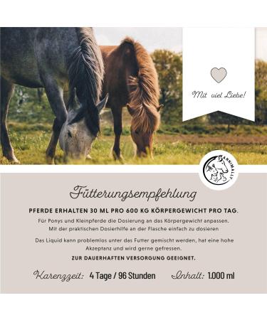 Annimally Joint Liquid for Horses 1000ml - Devil Claw Glucosamine & MSM for Joint Health - Liquid Supplement Alternative to Powder - Buy Online on GoSupps.com