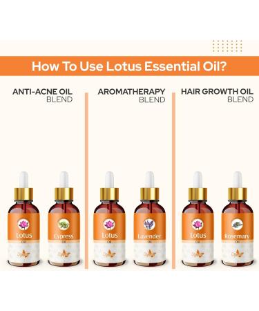 Crysalis Lotus Oil (Nelumbo nucifera) - 0.51 Fl Oz (15ml) | Premium Essential Oil for Relaxation & Wellness - International Shipping Available - Buy Online on GoSupps.com
