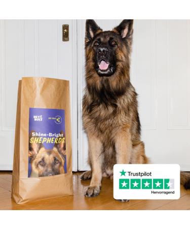 Buy Hey Holy-Shine-Bright Grain-Free Duck Dry Dog Food (7kg) - Premium Nutrition for Adult Shepherds - 40% Duck Protein Single Animal Protein - Buy Online on GoSupps.com