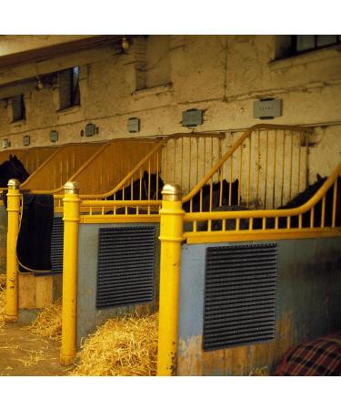 Massage Brush Set for Horses | 2-Piece Scratching Board & Anti-Itch Pad | Essential Horse & Cattle Accessories - Buy Online on GoSupps.com