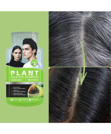  Dioche Dioche Hair Dye Bubble Shampoo Frizz Control Nourishing Black Foam Grey Coverage 10 Pieces 30 ML Easy Application Scrubs - Buy Online on GoSupps.com