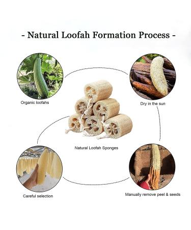 Natural Loofah Sponge Shower Exfoliating Bath Body Scrubber - 6pcs - Buy Online on GoSupps.com