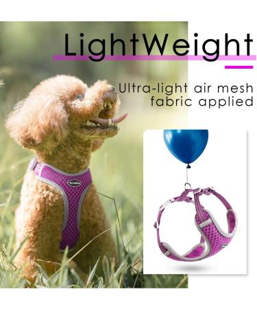 Thinkpet No-Pull Dog Harness - Breathable Adjustable Safety Harness for Small Medium & Large Dogs - Soft Reflective Padded - Purple (1 Pack) - Buy Online on GoSupps.com