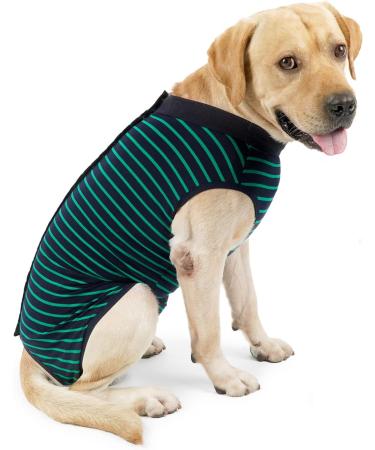 Wound Protective Coat for Dogs & Cats | Abdominal Surgery Vest | Postoperative Medical Clothing for Pets (Size S Green) - Buy Online on GoSupps.com
