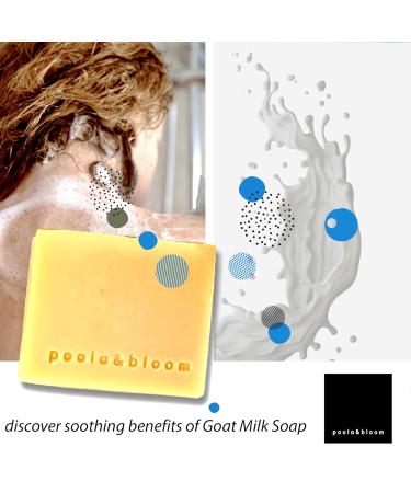 Mens Soap Set - Goat Milk & Shea Butter for Gentle Hydration - Includes Peeling Sisal Bag - Natural Skin Care - Buy Online on GoSupps.com