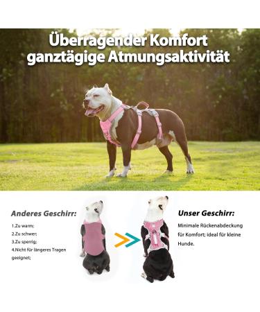 Huntboo Dog Safety Dishes & Reflective Harness for Small Dogs - Adjustable Waterproof Vest in Pink (Small Pack of 1) - Perfect for Walks & Training - Buy Online on GoSupps.com