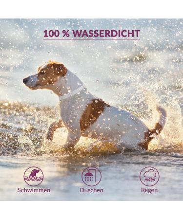 Animal Vita Premium Teck Neck Band for Small Dogs - Waterproof Size Adjustable 8 Months Tick Protection - Buy Online on GoSupps.com