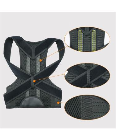 Posture Corrector Back Brace Spine Lumbar Support Belt for Men and Women Waist Straightener Waist Trainer Pain Relief Breathable Support (Size : X-Large) (Xx) (Medium) - Buy Online on GoSupps.com