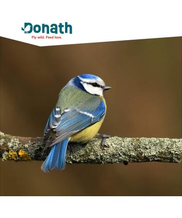 BUY DONATH Energy Box 1.2.3-3 Nut Rods (3 x 120g) - Premium Wild Bird Food Traditionally Dipped in Cattle Fat - Made in Southern Germany - Year-Round Energy for Birds - Buy Online on GoSupps.com