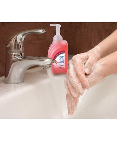 Health Guard 69014 Foaming Luxury Hand Soap 950 mL Clean Shape Pump Bottle Pink with Tropical Fragrance (Pack of 4) - Buy Online on GoSupps.com