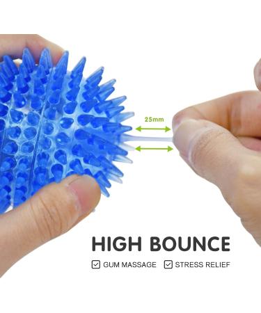 6 Pack Squeaking Rubber Balls for Small Dogs - Bright TPR Puppy Toys with Spikes | Fun Dog Kit - Buy Online on GoSupps.com