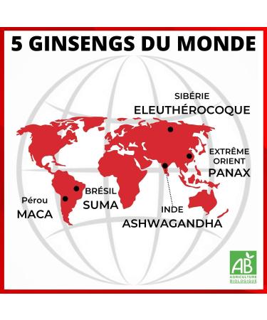 NUTRIG E - Ginseng 5 Strong - Fitness & Vitality - Reduces Fatigue Strengthens Natural Defenses Fights Different Stresses - 1 to 2 Takes/Day - 60 Tablets - 30/60 Days - Made in France - Buy Online on GoSupps.com