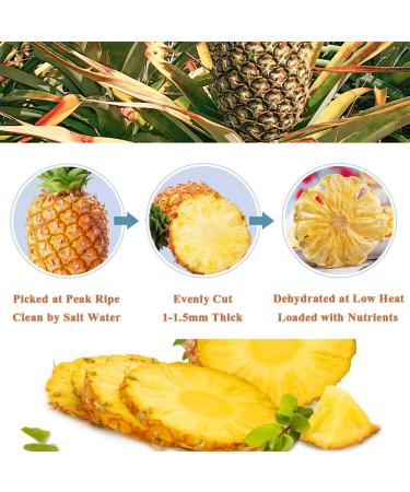 Mkostlich Dried Pineapple Slices 3.52oz/100g Dehydrated Pineapple Slices for Cocktail Garnish Drinks Baking Fruit Tea No Sugar Added No Sulphur Dry Pineapple Slices - Buy Online on GoSupps.com