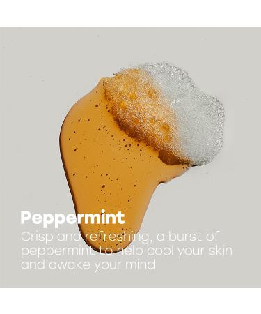 RICH FARMERS Organic Peppermint Castile Soap 16 oz - Sunflower, Olive, Coconut Oils - Buy Online on GoSupps.com