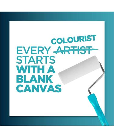 PROVOKE Hair Colour Remover Max Strength Removes Permanent Hair Dye For Multicoloured Hair Dye Removal Ammonia-free & Bleach-Free Formulation Standard Packaging - Buy Online on GoSupps.com