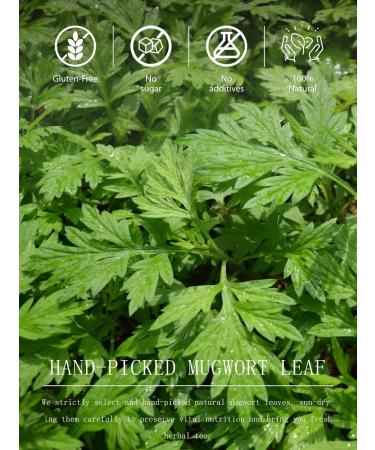 TeeLux Mugwort Tea Bags 40 Count - Natural, Caffeine-Free Herbal Tea with Dried Mugwort Leaves - Pack of 1 - Buy Online on GoSupps.com