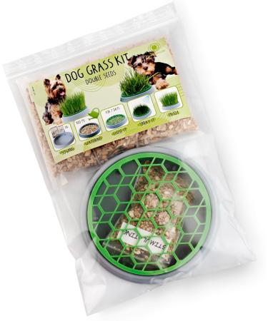 R&R SHOP - Double Seeds Dog Grass Kit - Germination Pot 2 Types of Grass for Dogs Stimulant and Digestive 4 Bags of Seeds and Substrate Suitable for All Dogs - Buy Online on GoSupps.com