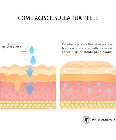 visage anti-rides escargot hyaluronique niacinamide - Buy Online on GoSupps.com