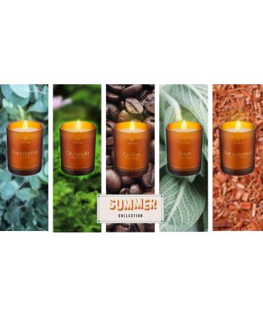 Summer Collection Aromatherapy Candles | Soothing Scented for Meditation | International Shipping Available - Buy Online on GoSupps.com