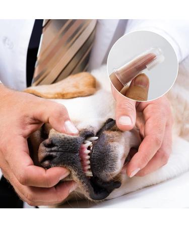 SZCXDKJ 12 Pieces Pet Finger Toothbrush Soft Silicone Pet Finger Toothbrush Food Safety Tooth Cleaner Dog Cat Dental Brushes Kit for Dogs Cats Pets Dental Care(Transparent Color) - Buy Online on GoSupps.com