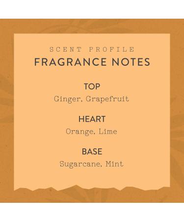 Happy Hour Fragrance Mist - Beautiful and Light Spray Fragrance from Nature - Vegan and Non-Toxic Mist Featuring Notes of Ginger and Grapefruit - 2.0 Oz / 60ml Happy Hour 2 Ounce (Pack of 1) - Buy Online on GoSupps.com