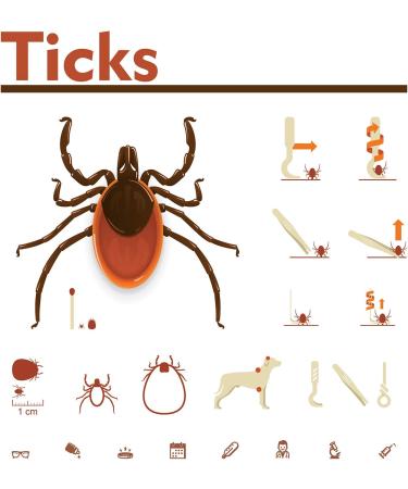 Boao Tick Removal Kit with 3 Plastic Removers & 3 Stainless Steel Tweezers for Pets - Light Blue - Buy Online on GoSupps.com