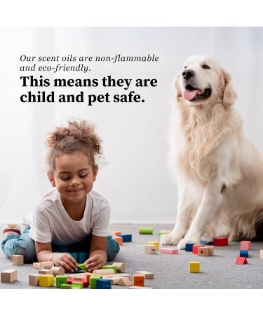 Home Luxury Scents Vanilla Birch 6 Fl Oz - Natural & Vegan Diffuser Oil Blends for Aromatherapy - 176ml USA Fragrance - Buy Online on GoSupps.com