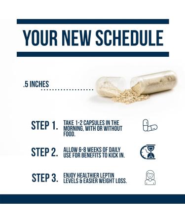 Dr. Westin Childs | Leptin Resistance Rx Natural Leptin Sensitizer Support Supplement for Women & Men Thyroid Metabolic Health Vitality Energy Focus with Glycosaminoglycans Vitamin C - 60 ct - Buy Online on GoSupps.com