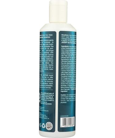 Jason Tea Tree Oil Shampoo 17.5 oz - Natural Cosmetics for Healthy Hair - Buy Online on GoSupps.com