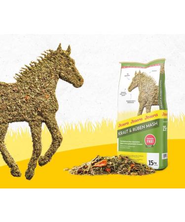 JOSERA Mash Premium High Flax Seed Grain Free Formula 2kg - Buy Online on GoSupps.com