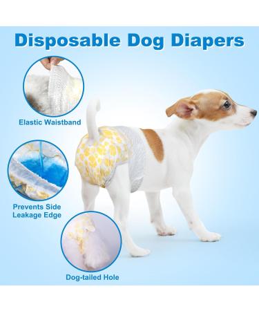 15 Pack XS Disposable Dog Diapers for Bitches & Males | Stretchy Waistband | Fits 22-40 cm Puppies | International Shipping - Buy Online on GoSupps.com